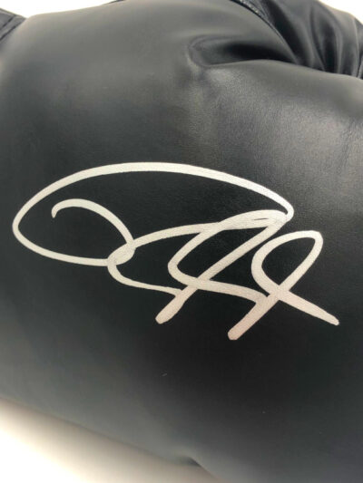 ROY JONES JR. Boxing Showcase</br>Boxhandschuh (Everlast) black – Bild 2