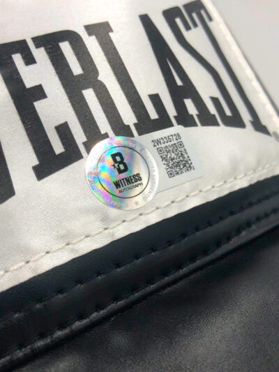 ROY JONES JR. Boxing Showcase</br>Boxhandschuh (Everlast) black – Bild 3